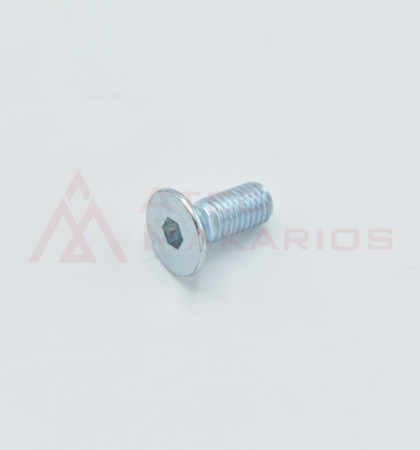 0216195748 HEX SOCKET SCREW