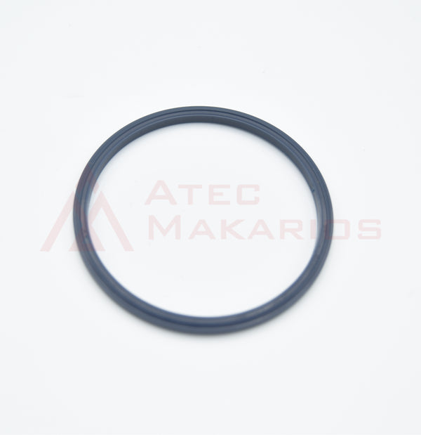 3115329016 SEALING RING