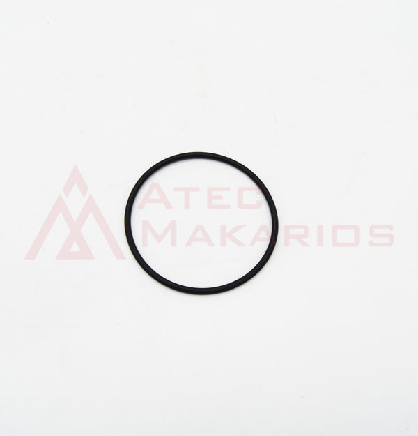 0663613700 SEALING RING