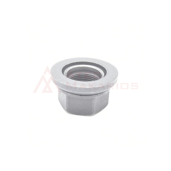 299100008 WHEEL NUT