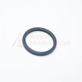 3115344500 SEAL RING