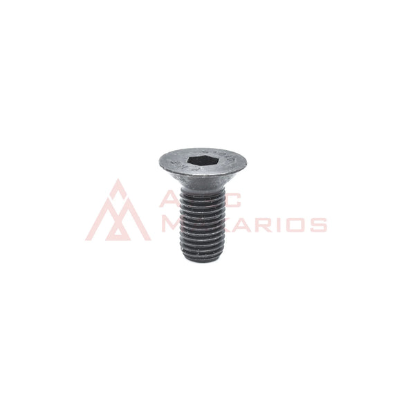 216195722 CAP SCREW