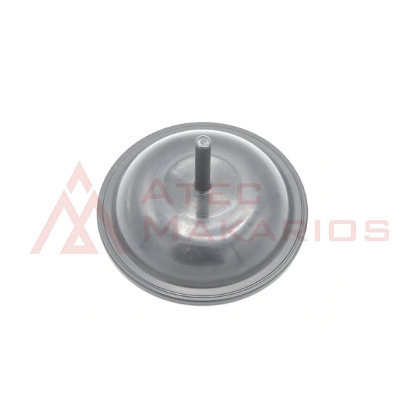 15205558 DIAPHRAGM