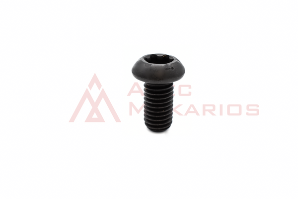 4696727 KEEPER PLATE SCREW