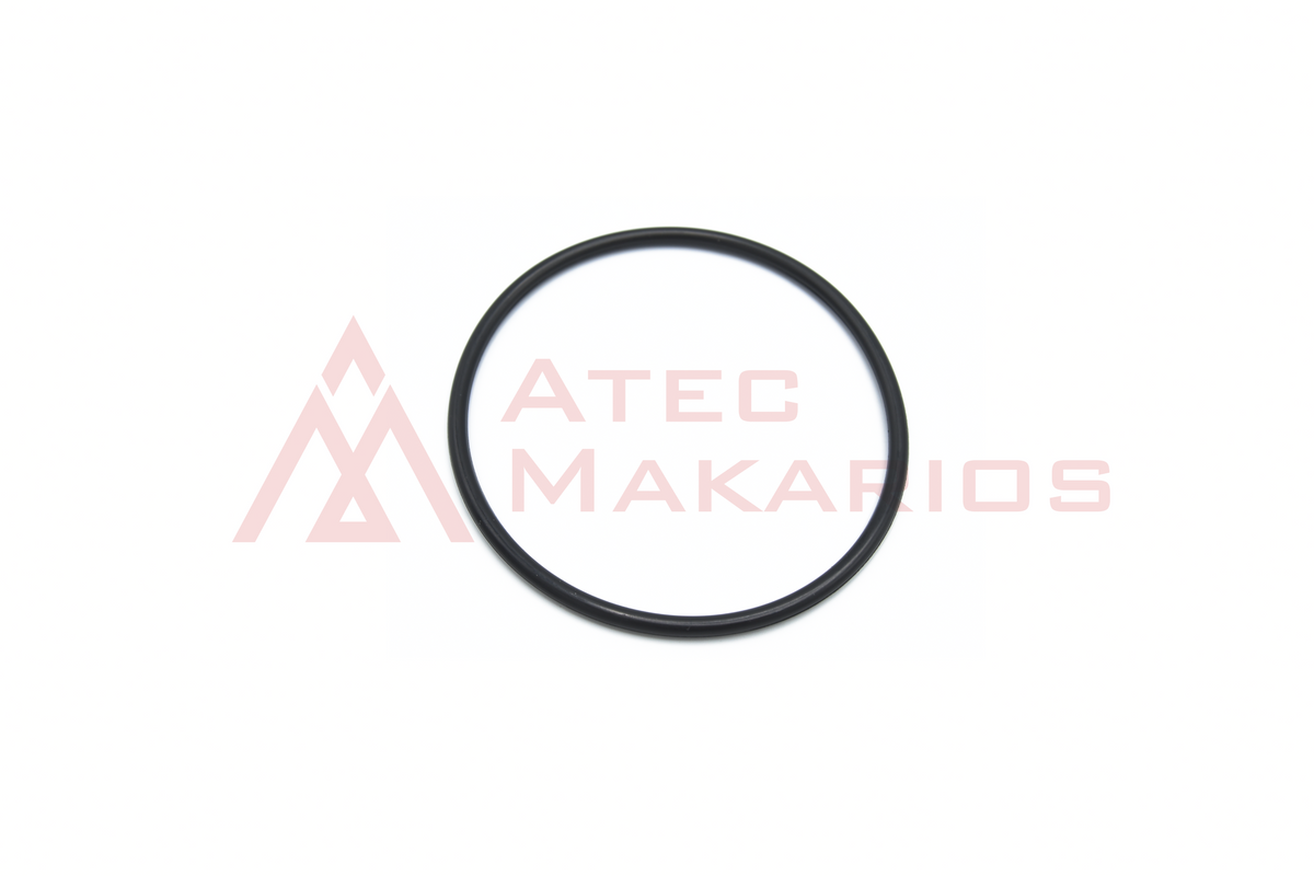 81953209 O-RING SANDVIK | Atec Makarios